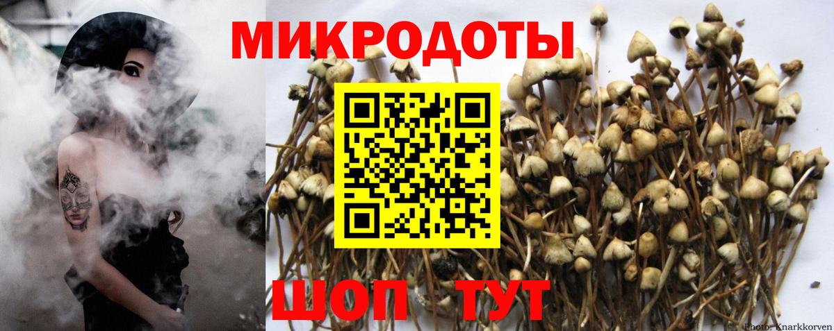 Галлюциногенные грибы Magic Shrooms  Вход с VPN  Галлюциногенные грибы MAGIC MUSHROOMS  Сорочинск 